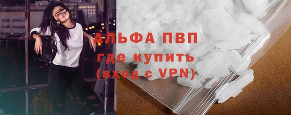 дживик Белокуриха