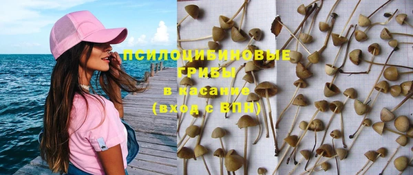 дживик Белокуриха