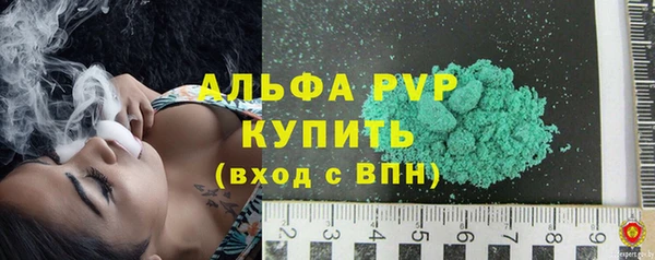 дживик Белокуриха